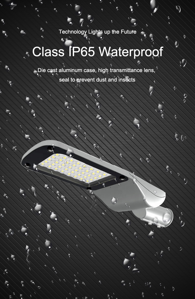 D6 Series Street Light