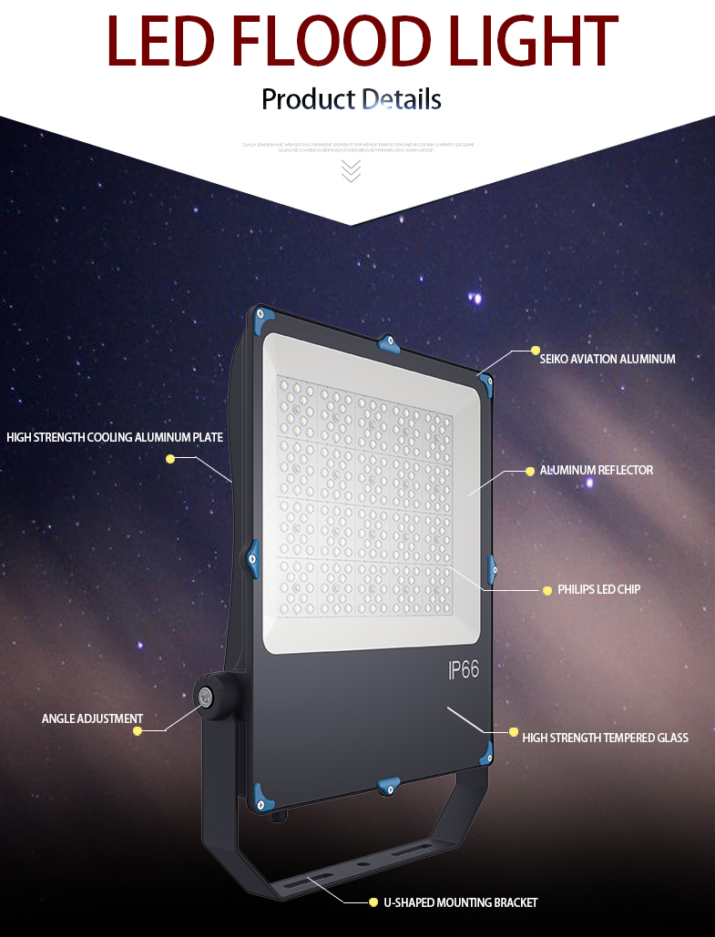 FLOOD LIGHT 2.jpg